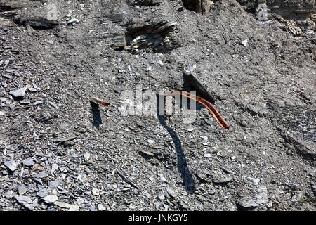 Derelict tramway track remains from oil shale mining period embedded in crumbled shale from upper cliff levels, Clavell’s Hard, Kimmeridge, Dorset UK Stock Photo