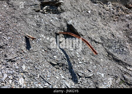 Derelict tramway track remains from oil shale mining period embedded in crumbled shale from upper cliff levels, Clavell’s Hard, Kimmeridge, Dorset UK Stock Photo