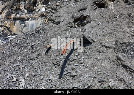 Derelict tramway track remains from oil shale mining period embedded in crumbled shale from upper cliff levels, Clavell’s Hard, Kimmeridge, Dorset UK Stock Photo