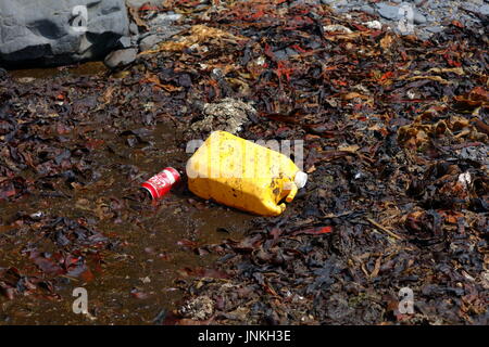 Plastic Container Amidst Kelp Seaweed And Shale Washed Up On Beach In Stock Photo Alamy