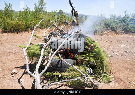 How to start a fire with old tires and branches. a set of 5 images Stock Photo