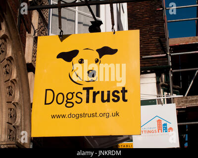 Dog Trust animal charity sign over retail unit, formerly known as the  National Canine Defence League, animal welfare charity and humane society  Stock Photo - Alamy