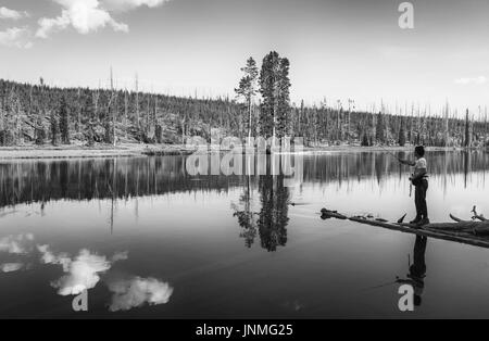 Angling on the Yellowstone river on a peaceful, serene morning flanked by pine woodland near Cooke City in Yellowstone National Park, Montana, USA. Stock Photo