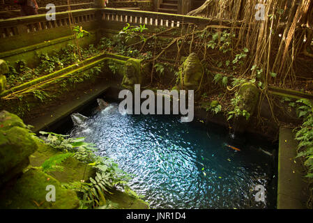 Monkeys pool in Sacred Monkey Forest Sanctuary Ubud Bali Indonesia Stock Photo