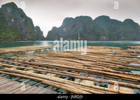 Halong Bay, Vietnam, pearl farm infrastructure Stock Photo