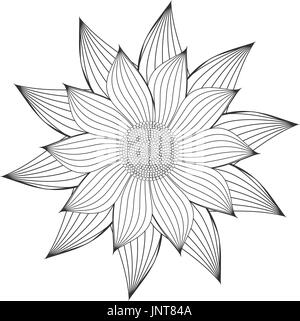 Sunflower isolated on white background vector Stock Vector Image & Art ...