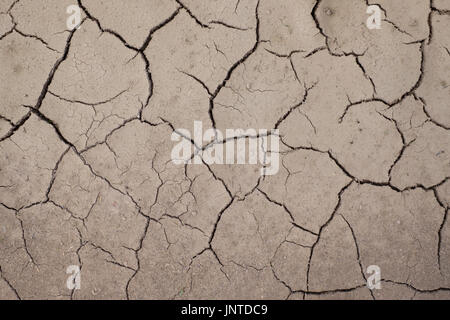Cracked and barren ground. Stock Photo