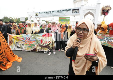 Banda Aceh, Indonesia. 30th July, 2017. Dozens of people from various elements took action to commemorate World Tiger Day 2017. The action was colored with theatrical, some participants also painted his face like a tiger. Indonesia once had three types of tigers, Javan tigers and Bali tigers, already declared extinct. While the Sumatran tiger population continues to decrease because many are hunted. Credit: Abdul Hadi Firsawan/Pacific Press/Alamy Live News Stock Photo