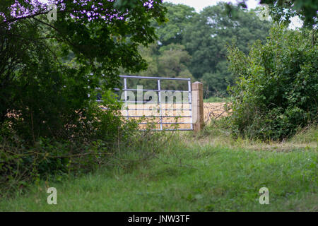 Farm gate - Trent Park, North London Stock Photo
