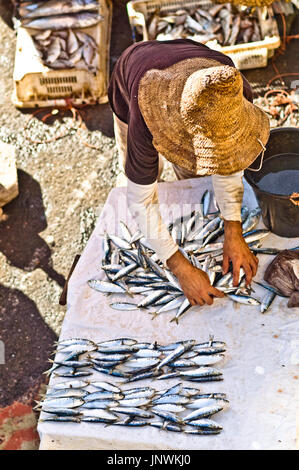 view on fresh fish market on Essaouira in Morocco Stock Photo