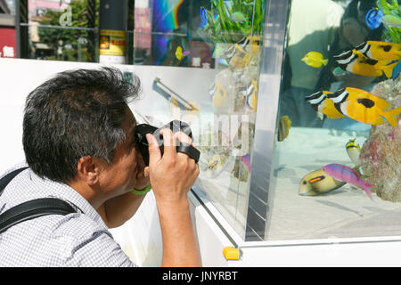 Tokyo, Japan. 31st July, 2017. A man takes pictures of marine animals from Okinawa swimming in a huge fish tank set up in Yurakucho on July 31, 2017, Tokyo, Japan. ''Sony Aquariums'' are set up in front of Yurakucho station and at Sony Showroom/Sony Store, showcasing different marine animals from the Okinawa Churaumi Aquarium including Napoleon wrasse and Black-spotted moray. Credit: Rodrigo Reyes Marin/AFLO/Alamy Live News Stock Photo