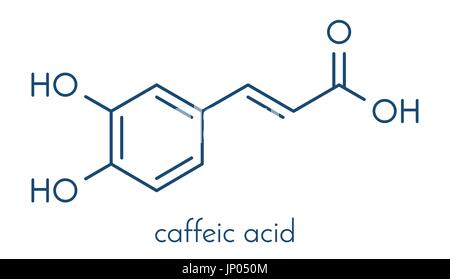 Caffeic acid molecule. Intermediate in the biosynthesis of lignin. Skeletal formula. Stock Vector