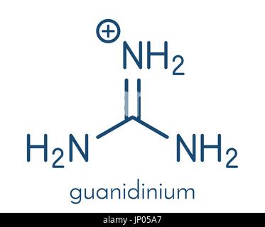 Guanidinium cation. Protonated form of guanidine. Skeletal formula. Stock Vector