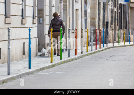 Paris. France - March 5, 2016: Woman walking two white dogs past colorful bollards in rue des Jardins Saint-Paul in the Village Saint-Paul in Paris, France Stock Photo