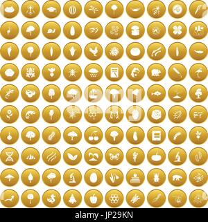 100 microbiology icons set gold Stock Vector
