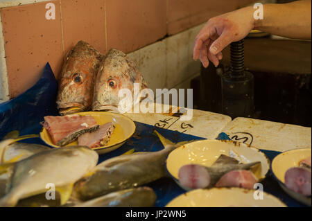 27.07.2017, Singapore, Republic of Singapore, Asia - The stall of a fish monger at the Chinatown Wet Market. Stock Photo