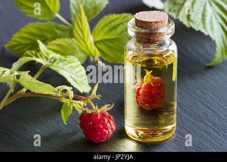 Fresh raspberry with a bottle of raspberry seed oil on a dark background Stock Photo