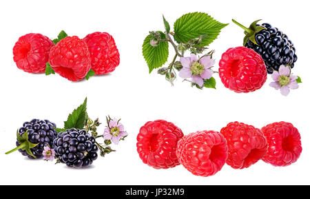 Raspberry and blackberry isolated on white background Stock Photo
