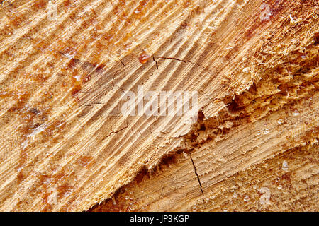 Timber cutting textured detail with resin drops. Wood background. Horizontal