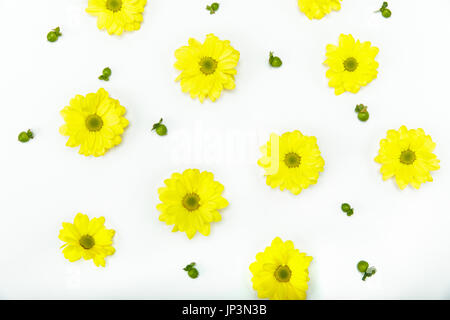 Top view of beautiful blooming small yellow flowers isolated on white Stock Photo