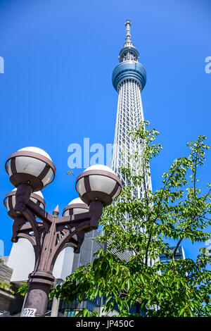 TOKYO, JAPAN - MAY 13: Tokyo Skytree Signage In Tokyo Skytree Tower ...