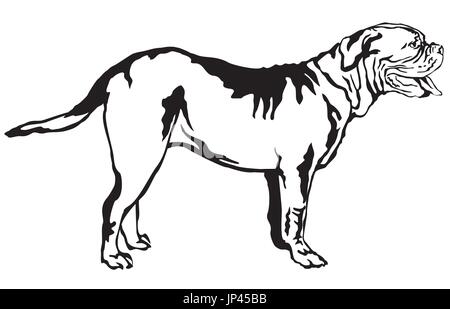 Decorative portrait of standing in profile Dogue de Bordeaux, vector isolated illustration in black color on white background Stock Vector