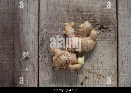 Ginger is sprouting on the old wooden floor. Stock Photo