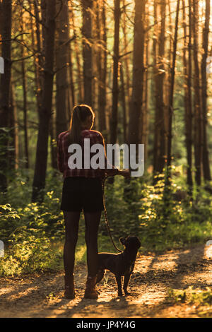 Young woman walking french bulldog in forest at sunset. Stock Photo
