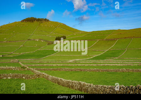 Farm fields hill in the Terceira island in Azores Stock Photo
