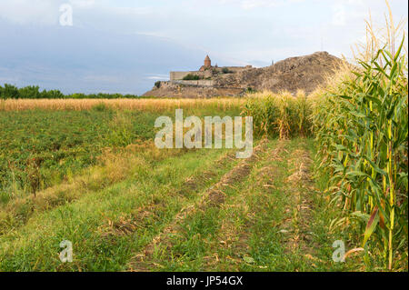 View of Khor Virap monastery in the middle of field, Ararat Province, Armenia Stock Photo