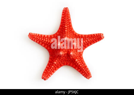 Dried red sea starfish isolated on white background. Top view Stock Photo