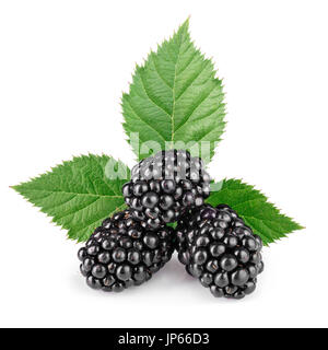 blackberries with leaf isolated on white Stock Photo