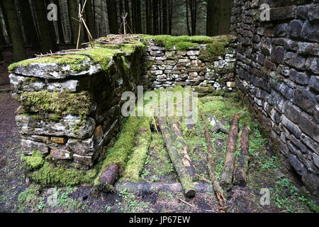 Abandoned Old Ruin Derelict Stone Built House in the Woods Stock Photo