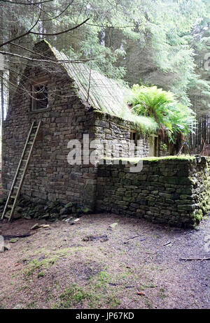 Killhope Abandoned Derelict House in the Woods or Forest Stock Photo