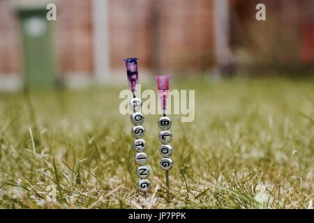 Small silver pins letters on the needle. Green grass natural outdoor concept. Stock Photo