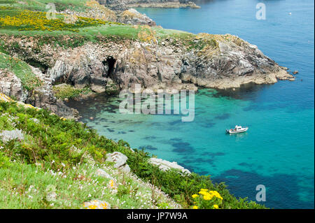 Beautiful view on The Saltee Island on summer time, Ireland Stock Photo