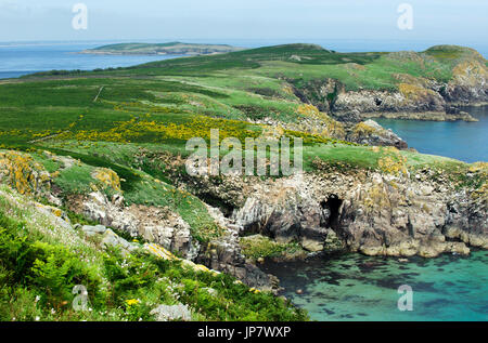 Beautiful view on The Saltee Island on summer time, Ireland Stock Photo