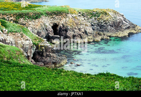 Beautiful view on The Saltee Island on summer time, Ireland Stock Photo