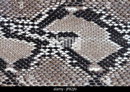 texture leather Snake skin Stock Photo