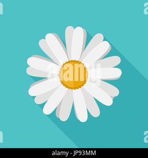 Daisy flower flat icon Stock Vector