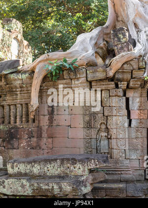 Temple Ruins at Preah Khan, Angkor Archaeological Park, Stock Photo