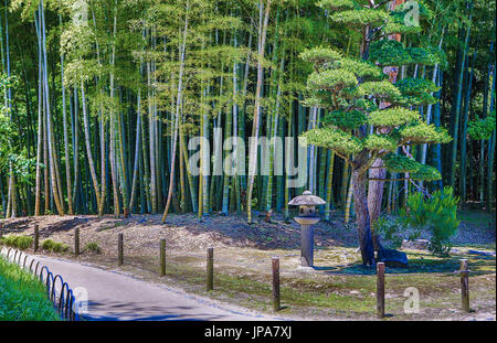 Japan, Okayama City, Korakuen Garden, Bambu Wood Stock Photo