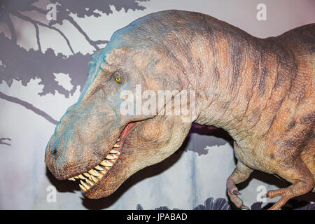 England, London, Natural History Museum, Exhibit of Mechanical T-Rex Dinosaur Stock Photo