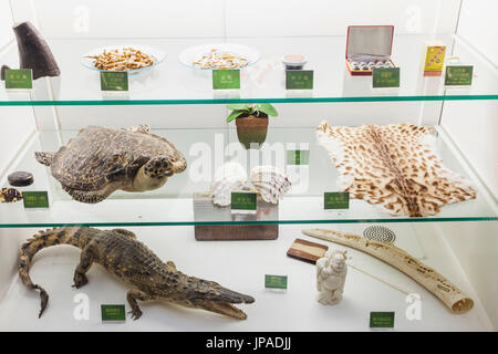 China, Hong Kong, Hong Kong International Airport, Display Case of Prohibited Items Stock Photo