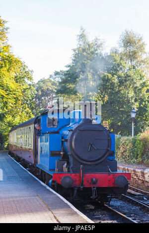 England, Cumbria, Lake District, Windermere, Lakeside, Steam Train of the Lakeside and Haverthwaite Railway Stock Photo