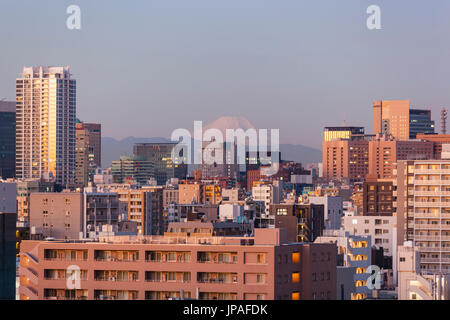 Japan, Honshu, Tokyo, City Skyline and Mt.Fuji Stock Photo