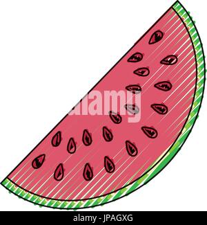 Sliced watermelon fruit Stock Vector