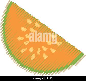 Sliced watermelon fruit Stock Vector