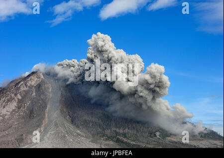 Volcano eruption with a pyroclastic cloud in the Mt. Sinabung. the slopes of the mountain with burnt trees Stock Photo