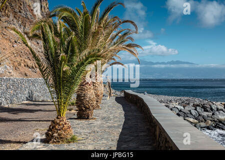 A way close to the harbour in San Sebastian de la Gomera with palm trees, view to Tenerife Stock Photo